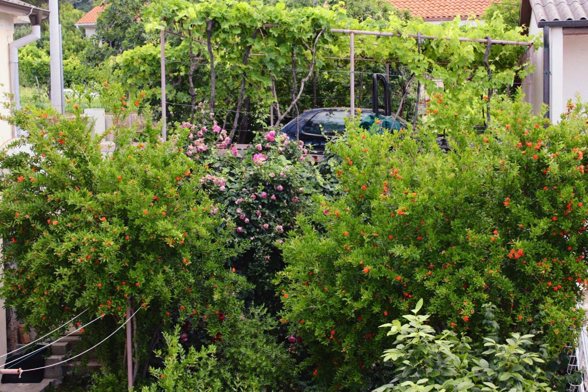 Apartments And Rooms By The Sea Barbat, Rab - 4973 Ραμπ Εξωτερικό φωτογραφία
